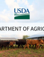 Specialty Crop Farmers Assistance