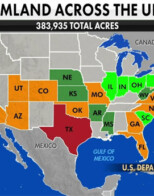 Foreign Land Purchase Consequences