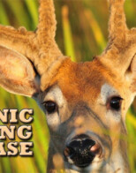 Chronic Wasting Disease Control