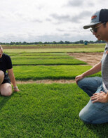 OSU Bluemuda Turfgrass Research