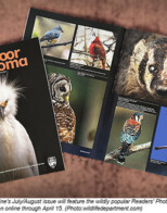 Wildlife Photo Contest Opens